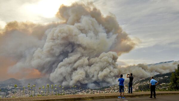 Incêndio florestal avançou para a zona histórica da cidade do Funchal, capital da Ilha da Madeira, em Portugal - Sputnik Brasil