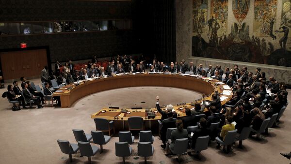 Reunião do Conselho da Segurança da ONU em Nova York - Sputnik Brasil