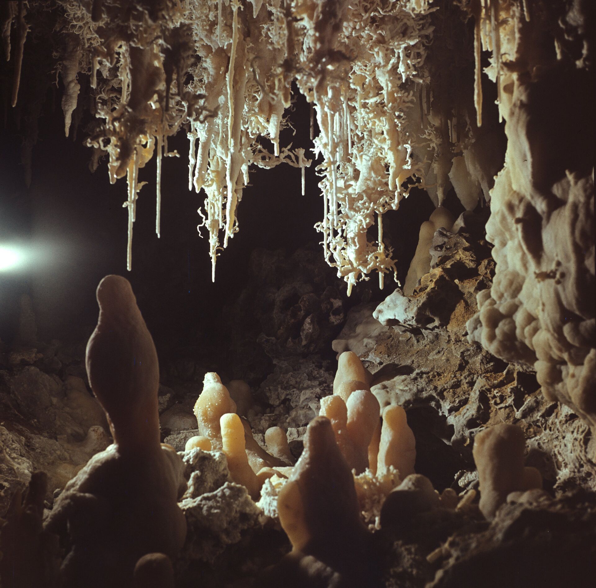 Estalagmites de cavernas relatam passado e podem até prever o futuro do planeta, diz novo estudo - Sputnik Brasil, 1920, 29.04.2021