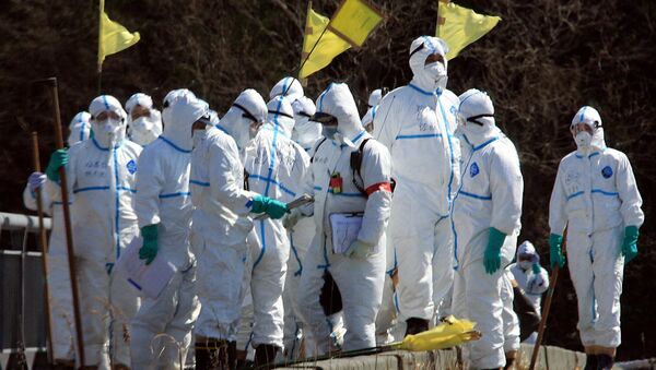 Policiais procuram por desaparecidos em Fukushima - Sputnik Brasil