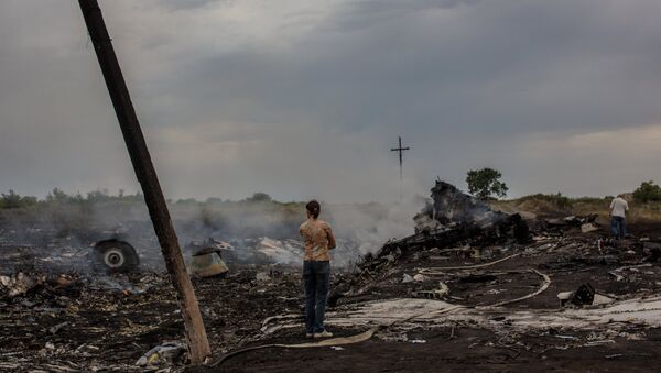 Lugar de acidente aéreo do MH17 na região de Donetsk - Sputnik Brasil