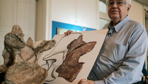 Fósseis de dinossauro coletados por Llewellyn Ivor Price, mostrados por Diógenes de Almeida Campos, Diretor do Museu de Ciências da Terra - Sputnik Brasil
