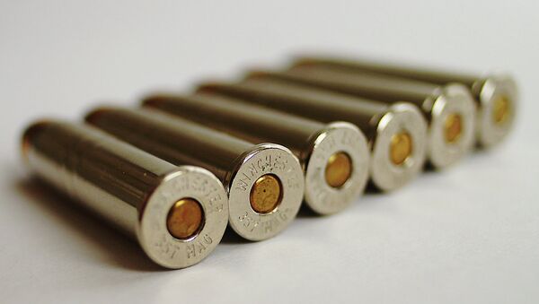 357 Magnum Cartridges - Sputnik Brasil