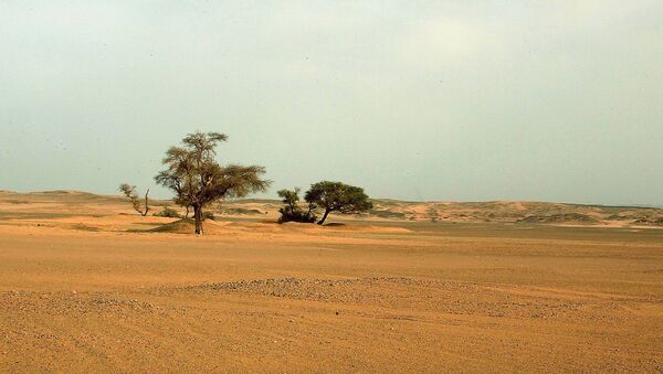 Deserto do Saara, no sul da Argélia, entre as cidades de Illizi e Djanet (arquivo) - Sputnik Brasil