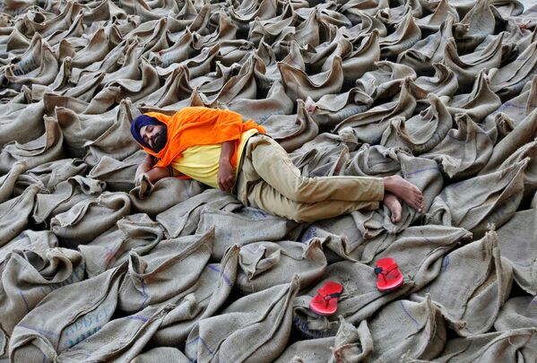 Fazendeiro descansa sobre sacos de arroz em um mercado de grãos em Chandigarh, Índia - Sputnik Brasil