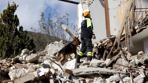 Vários milhares de pessoas ficaram desabrigadas em consequência do forte terremoto que ocorreu no centro da Itália - Sputnik Brasil