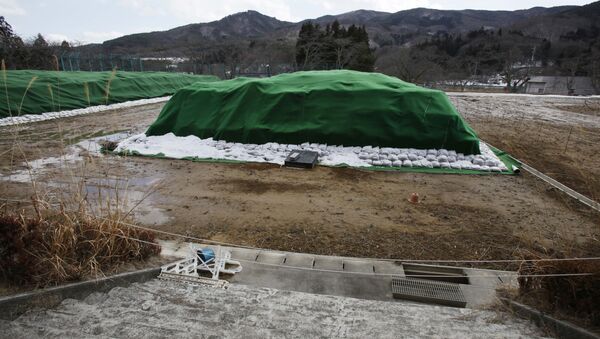 Piles of radiation-contaminated waste sit in a field in the abandoned town of Namie, outside the exclusion zone surrounding the Fukushima Dai-ichi nuclear plant in Japan (File) - Sputnik Brasil