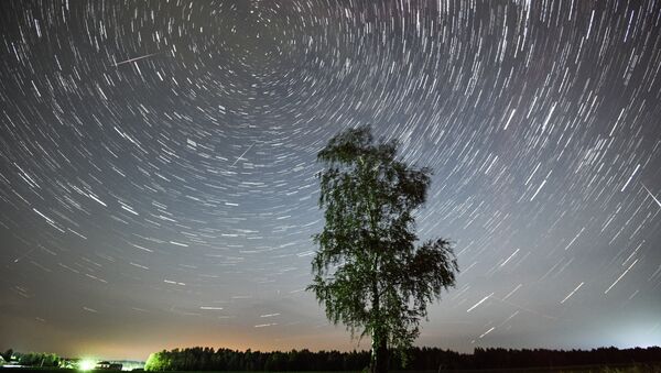 Árvore e ao fundo chuva de meteoros (foto de arquivo) - Sputnik Brasil