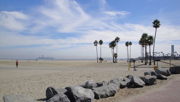 Vistas de Long Beach, California - Sputnik Brasil