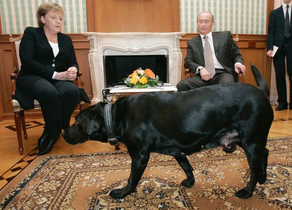 Chanceler da Alemanha Angela Merkel e presidente da Rússia Vladimir Putin durante um encontro na residência Bocharov Ruchei em Sochi - Sputnik Brasil