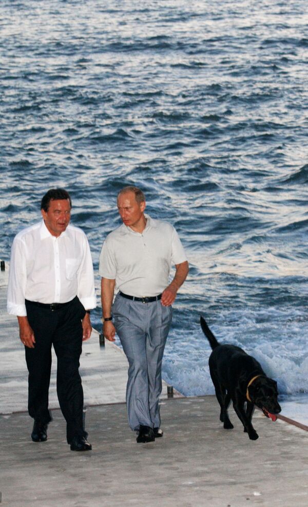 Encontro informal entre o presidente russo Vladimir Putin (com labrador Koni ao seu lado) e o então chanceler da Alemanha Gerhard Schroder em Sochi - Sputnik Brasil