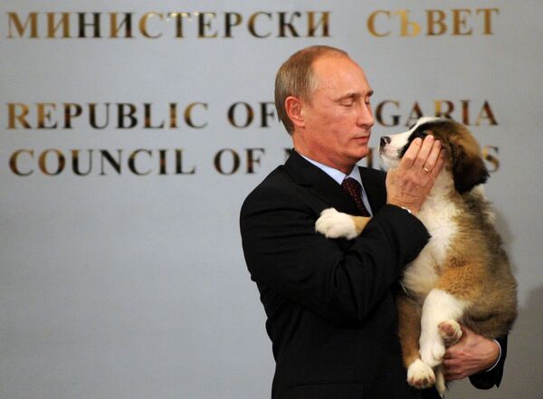 O primeiro-ministro da Rússia Vladimir Putin com um cachorro de raça karakachan, que foi um presente do chefe do governo da Bulgária Boyko Borisov - Sputnik Brasil