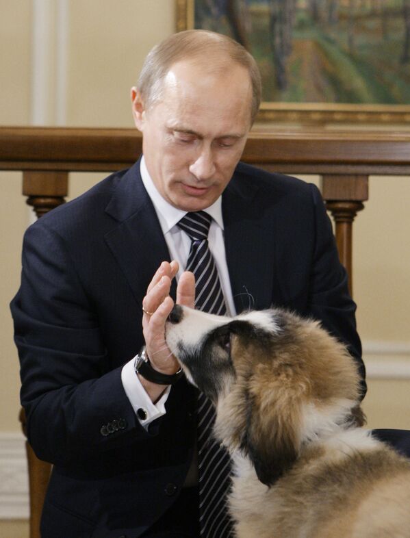 Vladimir Putin, enquanto chefe do governo russo, na sua residência Novo Ogaryovo (arredores de Moscou) com o cachorro Baffy - Sputnik Brasil
