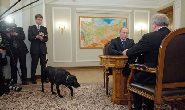 Labrador Koni do presidente russo participa do encontro entre Vladimir Putin e o governador da república russa de Komi Vladimir Torlopov na residência de Novo Ogaryovo - Sputnik Brasil