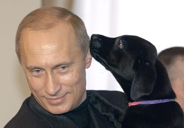 O presidente da Rússia Vladimir Putin com um cachorro da sua cadela de raça labrador Koni - Sputnik Brasil