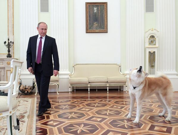 Presidente da Rússia, Vladimir Putin, com sua cadela Yume no Kremlin - Sputnik Brasil