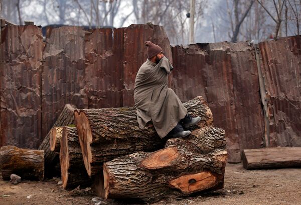Homem sentado em lenha, Srinagar, Índia - Sputnik Brasil