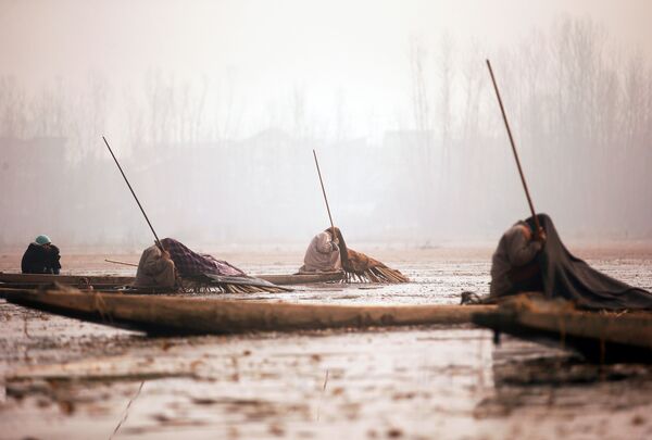 Pescadores de Caxemira no lago Anchar, em Srinagar - Sputnik Brasil