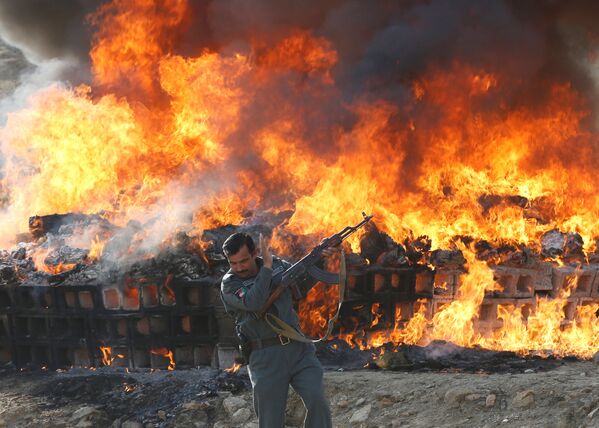 Oficial afegão perto de carregamento de drogas e álcool sendo destruído por fogo - Sputnik Brasil