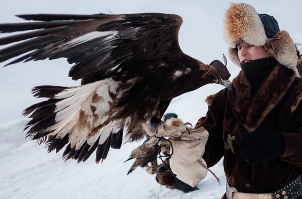 Participante da competição de caça com águia real no Cazaquistão - Sputnik Brasil