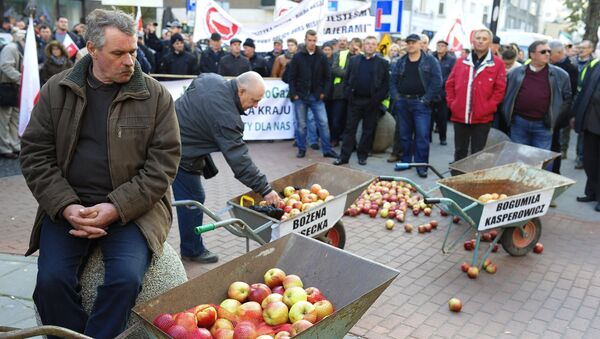 Agricultores poloneses protestam contra sanções antirrussas em Varsóvia - Sputnik Brasil