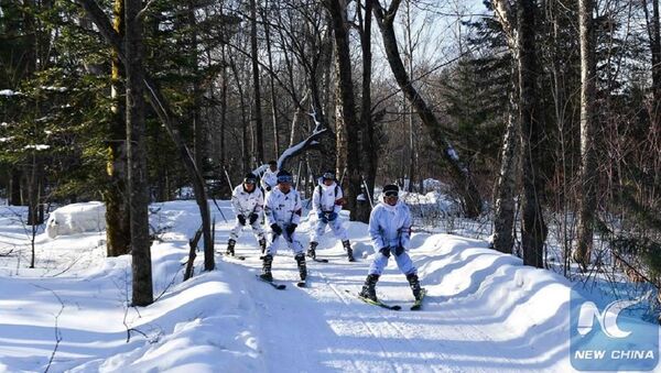 Policiais de esqui patrulhando a floresta nos Montes de Changbai, na província de Jilin, no nordeste da China, em 6 de janeiro de 2017 - Sputnik Brasil