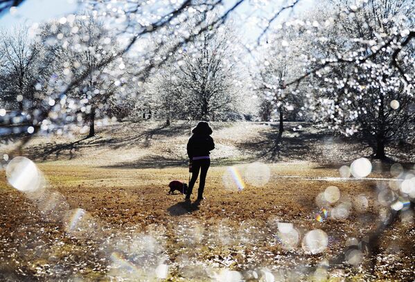 Uma mulher passeia com seu cachorro em um dos parques de Atlanta - Sputnik Brasil