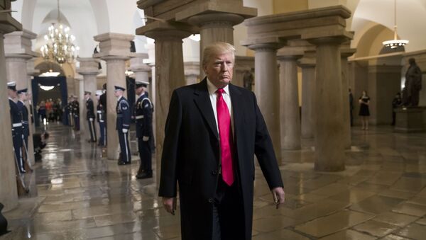 O novo presidente dos EUA Donald Trump no Capitólio dos EUA em Washington, antes da posse, 20 de janeiro de 2017 - Sputnik Brasil