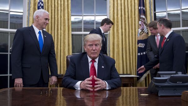 O novo presidente dos EUA Donald Trump na Casa Branca, Washington, 20 de janeiro de 2017 - Sputnik Brasil
