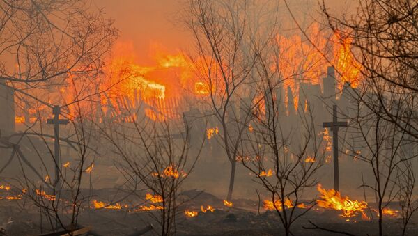 Incêndios florestais na república russa da Khakássia - Sputnik Brasil