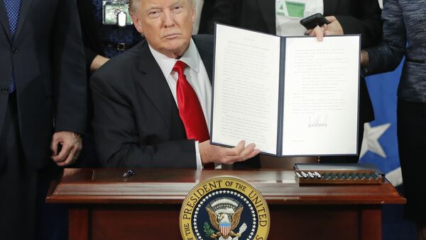 Donald assina ordem para construção de muro com México - Sputnik Brasil