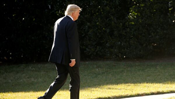 O presidente dos EUA, Donald Trump, volta à Casa Branca após uma visita ao Departamento de Segurança Interna dos Estados Unidos - Sputnik Brasil