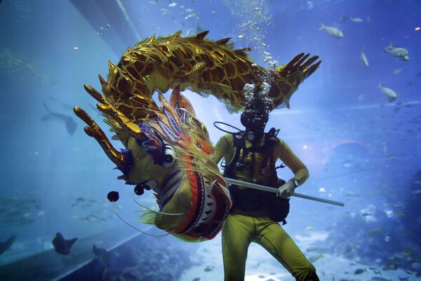 Mergulhador dança com dragão durante um show submarino no oceanário Resorts World Sentosa, em Singapura, durante comemoração do Ano Novo Chinês. - Sputnik Brasil