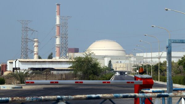 Reator atômico na usina nuclear de Bushehr, no sul do Irã (foto de arquivo) - Sputnik Brasil