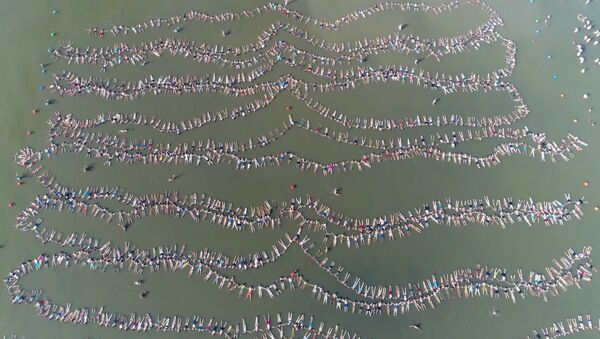 Quase 2 mil nadadores argentinos formam linha no lago para bater recorde - Sputnik Brasil