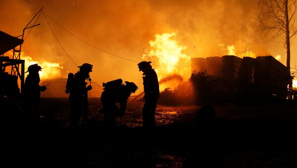 Bombeiros apagam incêndios florestais no Chile - Sputnik Brasil