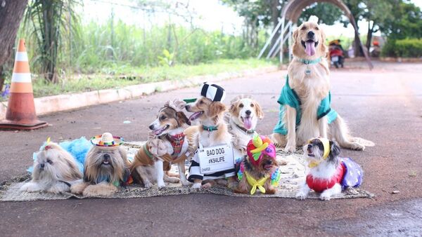 Carnapet, carnaval de cachorros agita Brasília - Sputnik Brasil