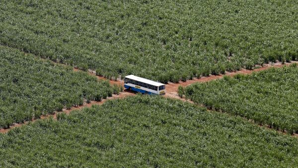 Um ônibus é visto em uma zona rural do estado de São Paulo, Brasil, em 17 de dezembro de 2014 (foto de arquivo) - Sputnik Brasil