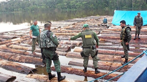 Apreensão de toras na fronteira com o Peru em operação que envolveu Ibama, Exército, Funai, PF e PM do Amazonas - Sputnik Brasil