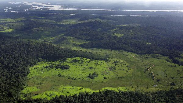 Civilizações pré-colombianas moldaram Floresta Amazônica - Sputnik Brasil