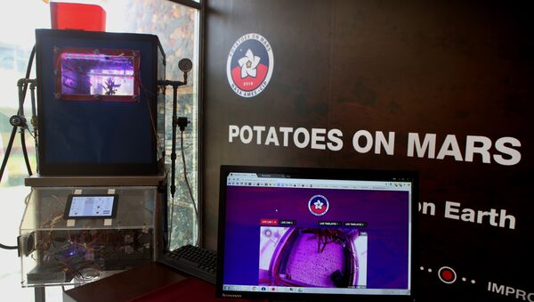 O simulador Cubesat que imite o ambiente marciano para cultivar batata - Sputnik Brasil