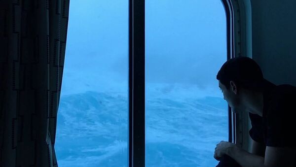 Um passageiro observando como uma tempestade perfeita” se abate sobre o navio de cruzeiro Anthem of The Seas - Sputnik Brasil