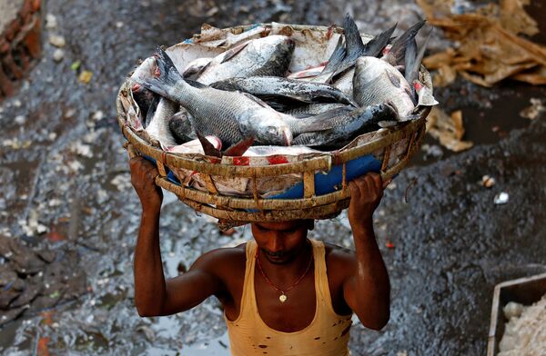 Homem carregando cesta com peixe em um mercado na Índia - Sputnik Brasil