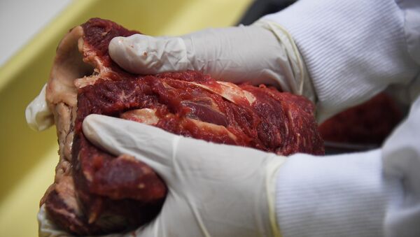 Exportadores falam da contaminação de carne - Sputnik Brasil