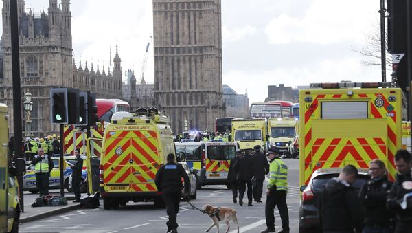 Agentes dos serviços de emergências ajudam no socorro às vítimas do ataque na ponte de Westminster, em Londres - Sputnik Brasil