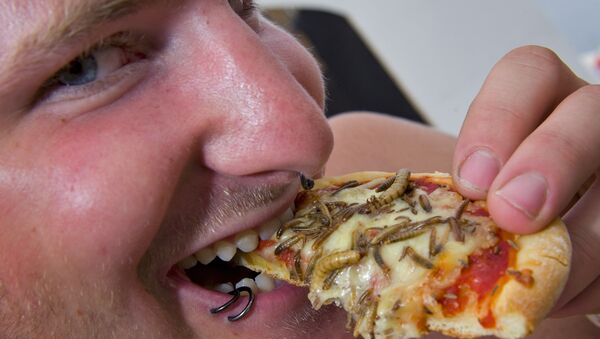 Uma pizza com insetos, foto de arquivo - Sputnik Brasil
