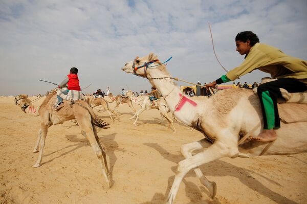 Ginetes, sendo muitos deles crianças, participam da corrida de camelos em um deserto nas cercanias de Ismailia, no Egito - Sputnik Brasil