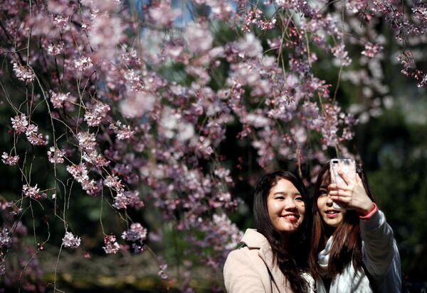 Japonesas comemoram a chegada da primavera tirando selfies em um parque de Tóquio, em 29 de março - Sputnik Brasil