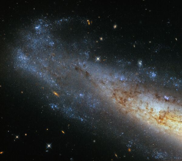 O satélite astronômico artificial Hubble transmitiu para a Terra as imagens nítidas da galáxia espiral NGC 1448, localizada na constelação de Horologium (Relógio), mais precisamente a 50.000 milhões de anos-luz da Terra - Sputnik Brasil