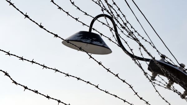 Dia do Holocausto, 27 de janeiro de 2014 - Sputnik Brasil